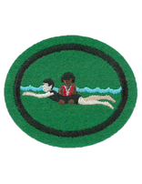 Water Safety Instructor Honor Requirements