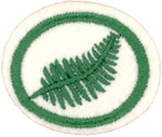 Ferns Honor Requirements