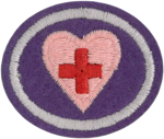 First Aid Standard Honor Requirements