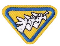 Three Angels Award Requirements